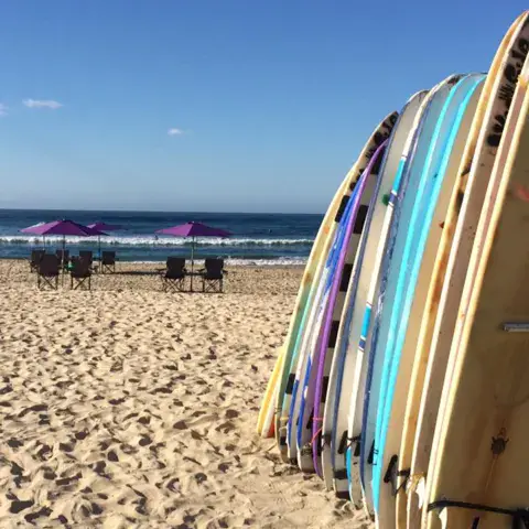 Rangée de planches de surf plantées dans le sable