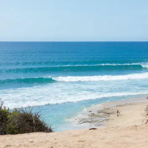 Plage de sable et vagues du Pacifique