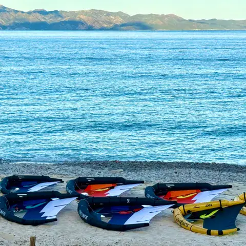 Ailes de wing alignées sur la plage