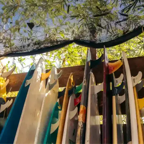 Planches de surf rangées pour la location