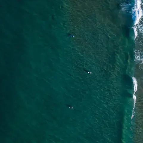 Vue aérienne de surfeurs en attente de vagues