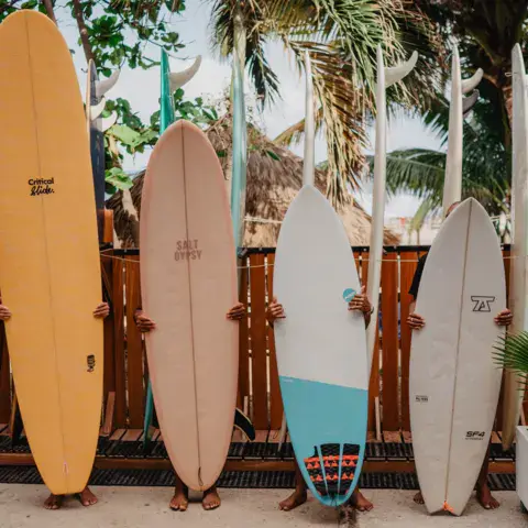 Planches de surf alignées à la location