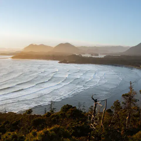 Deux surfeurs en combinaison avec leurs planches