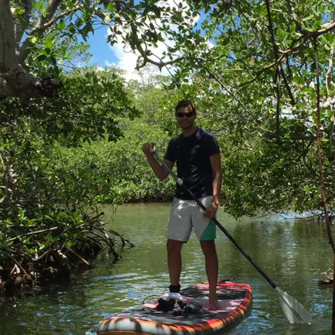 Sortie en stand up paddle dans la mangrove