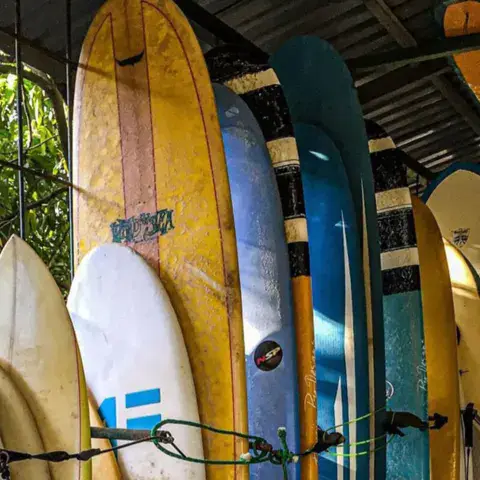 Planches de surf rangées dans l'abri à planches