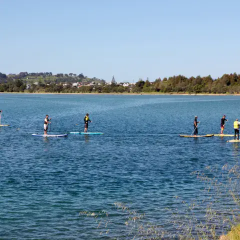 Groupe de pagayeurs sur l'eau calme de l'estuaire