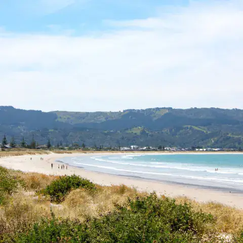 Plage de sable bordée de dunes, collines au fond
