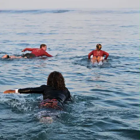Surfeurs en train de ramer