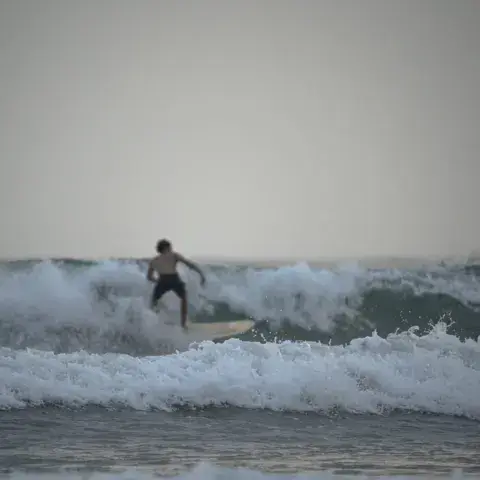 Surfeur sur une vague au large de la plage