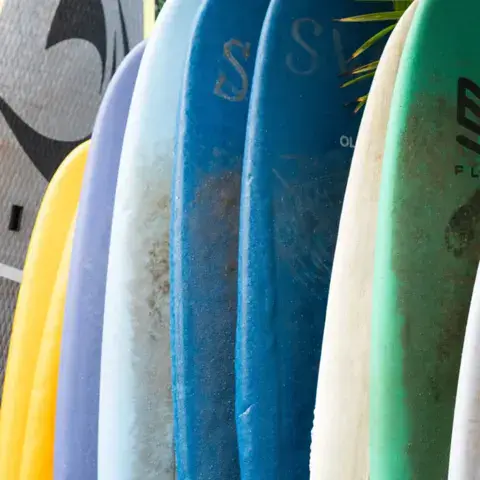 Planches de surf alignées