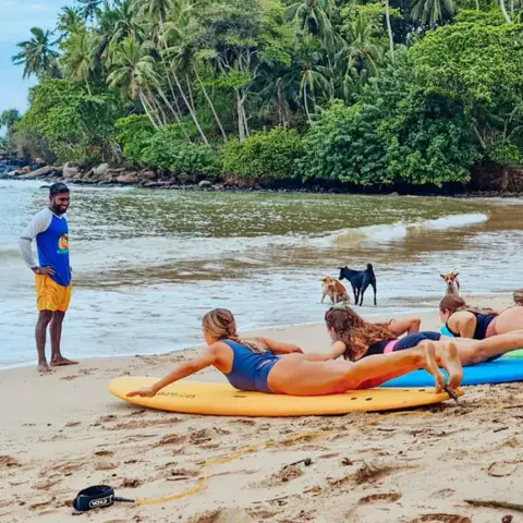 Élèves allongés sur leurs planches pour apprendre à ramer