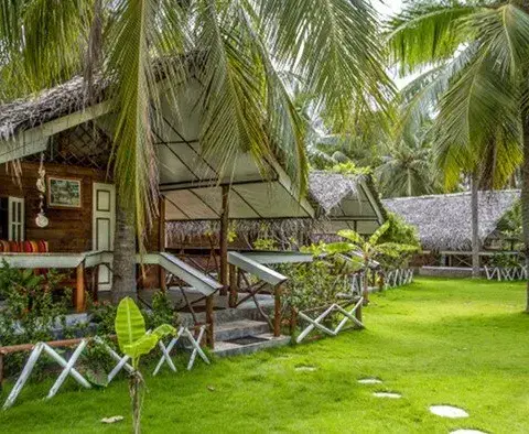 Cabanas en bois sous les cocotiers