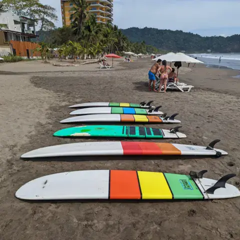 Planches de surf alignées sur le sable