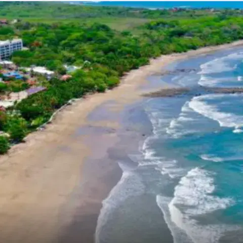 Vue aérienne d'une plage bordée de végétation, avec des vagues