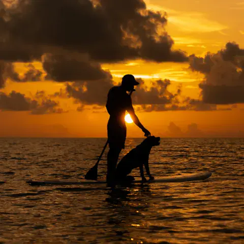 Pratiquant de paddle au coucher du soleil, avec un chien