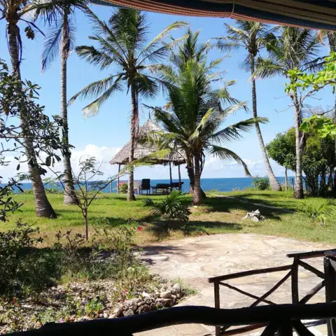 Jardin de palmiers face à la mer