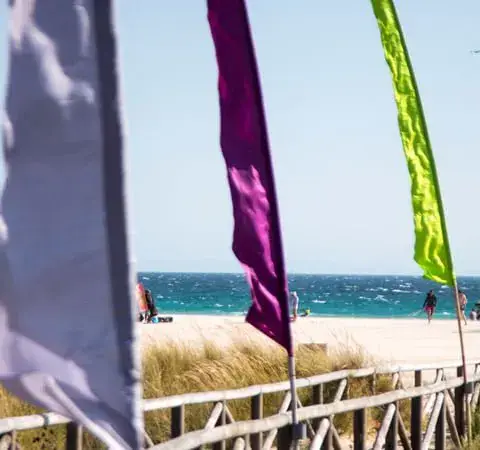Drapeaux sur la plage face à la mer