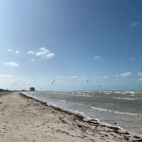 Progreso (el Playon) — photo 8