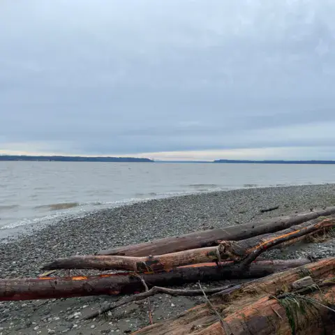 Iverson Trail / Camano Island — photo 4