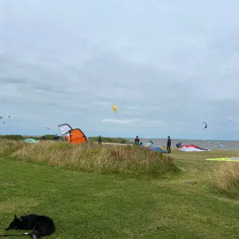 Hvide Sande North - Ringkøbing Fjord — photo 9