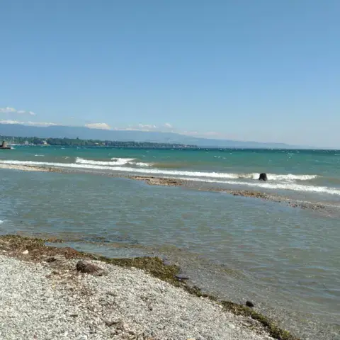Versoix - Plage de la Bécassine — photo 2