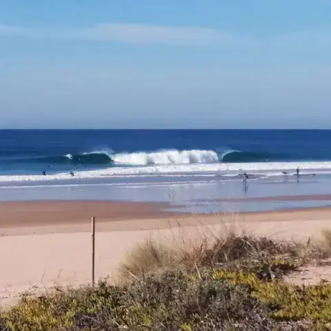 El Palmar — photo 2