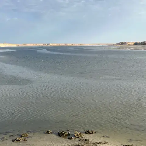 Dakhla Lagune — photo 7