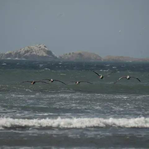 Punta Luna — photo 4