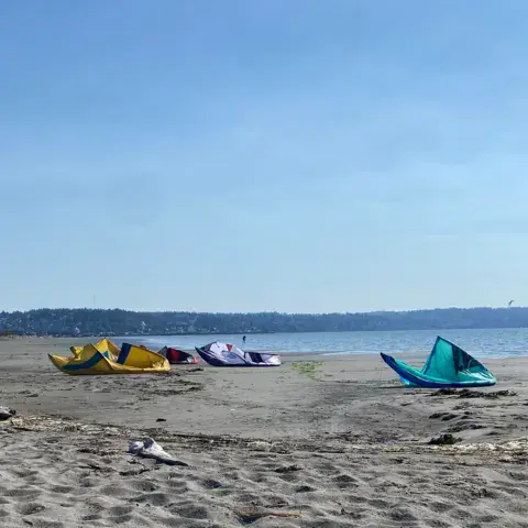 Jetty Island — photo 4