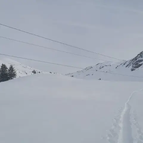 Isenau Snowkite — photo 4