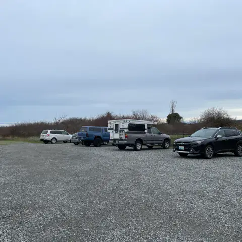 Iverson Trail / Camano Island — photo 7