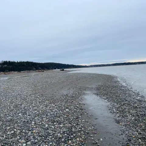 Iverson Trail / Camano Island — photo 6