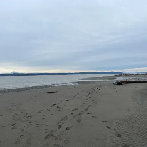Iverson Trail / Camano Island — photo 3