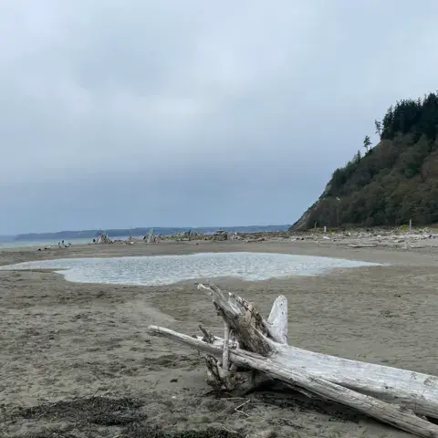 Double Bluff / Whidbey Island — photo 5