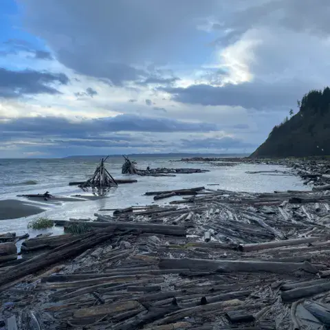 Double Bluff / Whidbey Island — photo 7