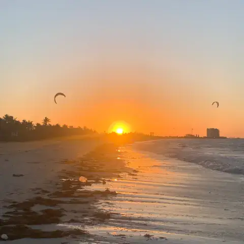 Progreso (el Playon) — photo 9