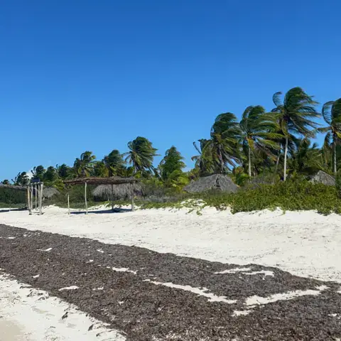 Progreso (el Playon) — photo 4