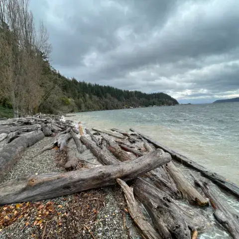 Kayak Point — photo 2