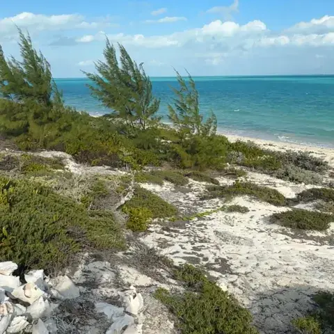 Long Bay Beach — photo 2