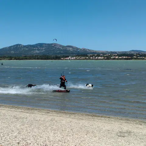 Etang de La Palme — photo 6