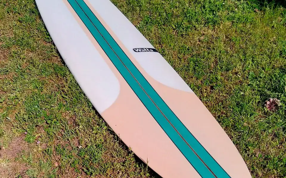 Longboard Pig Noserider