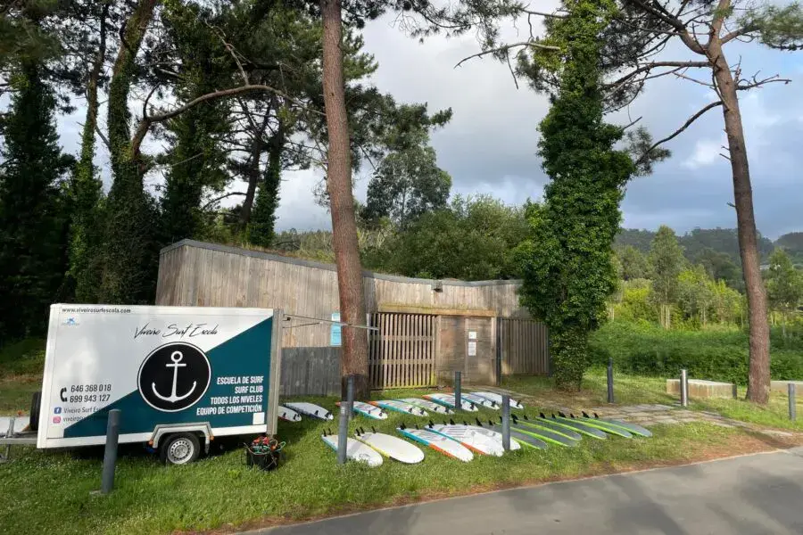 Planches de l'école alignées dans la pinède derrière la plage