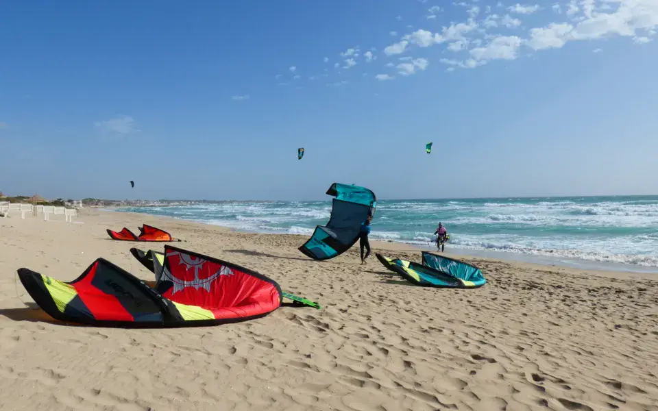 Plage avec kites posés au sol et kitesurfeurs au large