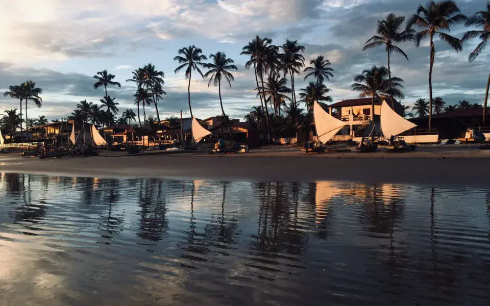 Plage bordée de palmiers au crépuscule