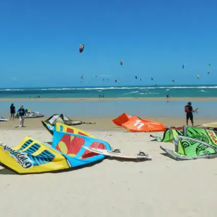Kites posés sur la plage