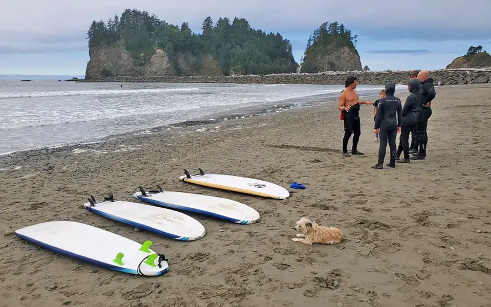 Planches alignées sur la plage avant un cours