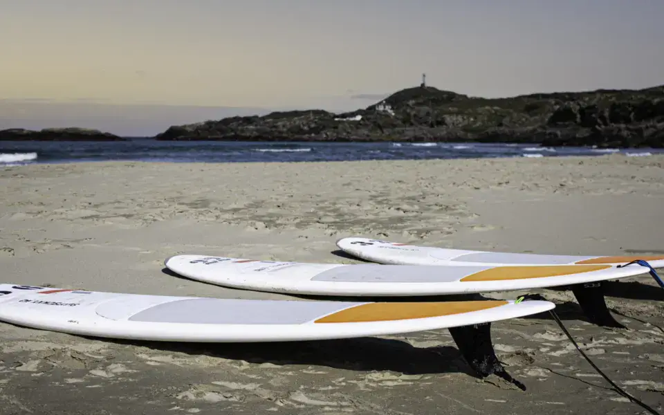 Planches de surf alignées sur la plage
