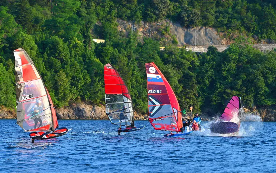 Planches à voile de compétition sur la mer, devant une côte boisée