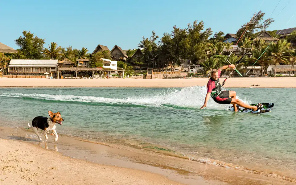 Kitesurfeur le long de la plage, accompagné d'un chien