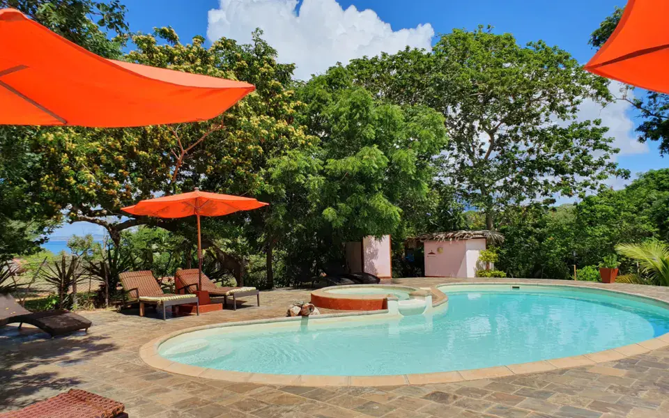 Piscine de l'hôtel entourée d'arbres